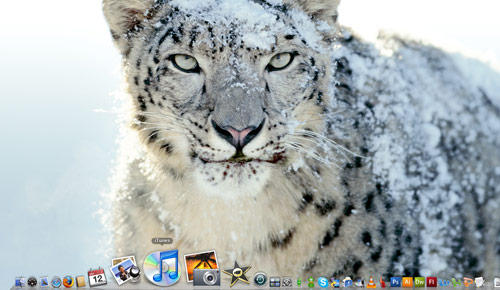 snow leopard mac os x wallpaper. Mac OS X Leopard Wallpaper